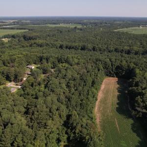 Photo #14 of Off Weaver St,  Whitakers, NC 1.0 acres