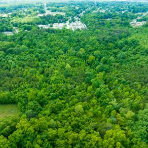 Photo #7 of SOLD property in Off Green Level Loop & Otter Creek Trail, Burlington, NC 31.5 acres