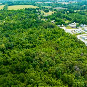 Photo #10 of SOLD property in Off Green Level Loop & Otter Creek Trail, Burlington, NC 31.5 acres