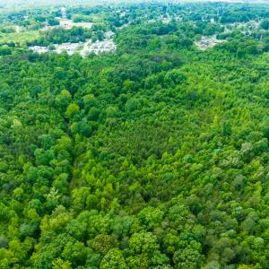 Photo #11 of SOLD property in Off Green Level Loop & Otter Creek Trail, Burlington, NC 31.5 acres