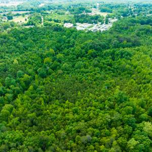 Photo #13 of SOLD property in Off Green Level Loop & Otter Creek Trail, Burlington, NC 31.5 acres