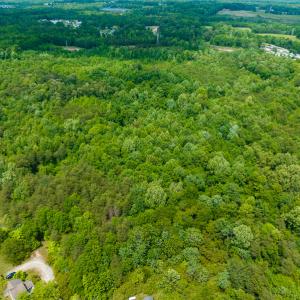 Photo #14 of SOLD property in Off Green Level Loop & Otter Creek Trail, Burlington, NC 31.5 acres