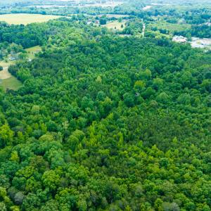 Photo #16 of SOLD property in Off Green Level Loop & Otter Creek Trail, Burlington, NC 31.5 acres