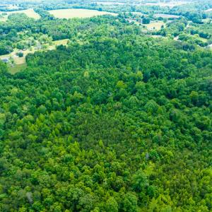 Photo #19 of SOLD property in Off Green Level Loop & Otter Creek Trail, Burlington, NC 31.5 acres