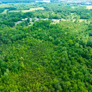 Photo #22 of SOLD property in Off Green Level Loop & Otter Creek Trail, Burlington, NC 31.5 acres