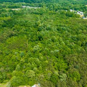 Photo #25 of SOLD property in Off Green Level Loop & Otter Creek Trail, Burlington, NC 31.5 acres