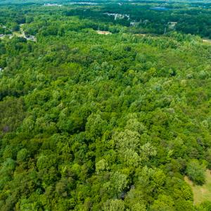 Photo #26 of SOLD property in Off Green Level Loop & Otter Creek Trail, Burlington, NC 31.5 acres