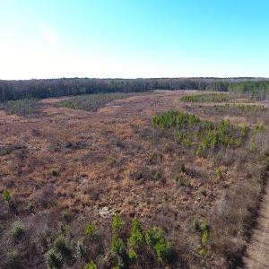Photo #2 of Off Garland Highway, Garland, NC 278.0 acres