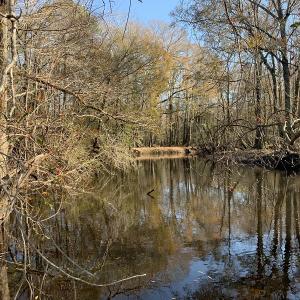 Photo #12 of Off Garland Highway, Garland, NC 278.0 acres