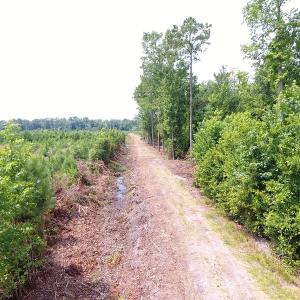 Photo #13 of Off Garland Highway, Garland, NC 278.0 acres