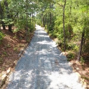 Photo #14 of Off Garland Highway, Garland, NC 278.0 acres