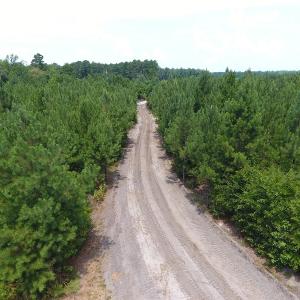 Photo #16 of Off Garland Highway, Garland, NC 278.0 acres