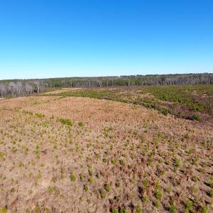 Photo #17 of Off Garland Highway, Garland, NC 278.0 acres