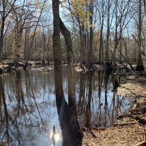 Photo #18 of Off Garland Highway, Garland, NC 278.0 acres