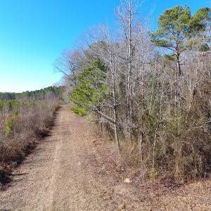 Photo #19 of Off Garland Highway, Garland, NC 278.0 acres