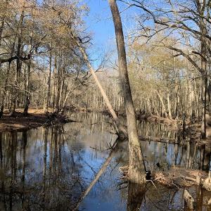 Photo #20 of Off Garland Highway, Garland, NC 278.0 acres