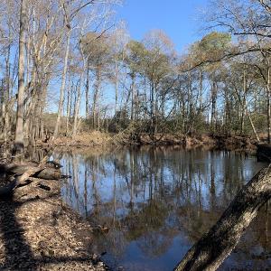 Photo #3 of Off Garland Highway, Garland, NC 278.0 acres