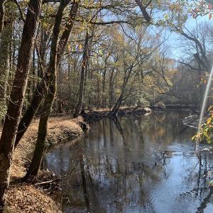 Photo #21 of Off Garland Highway, Garland, NC 278.0 acres