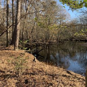 Photo #22 of Off Garland Highway, Garland, NC 278.0 acres