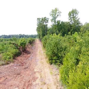 Photo #24 of Off Garland Highway, Garland, NC 278.0 acres