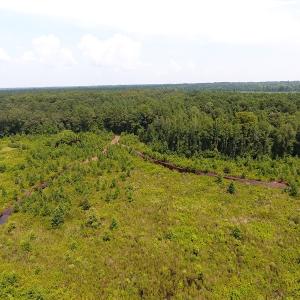 Photo #25 of Off Garland Highway, Garland, NC 278.0 acres