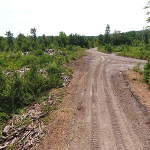 Photo #27 of Off Garland Highway, Garland, NC 278.0 acres