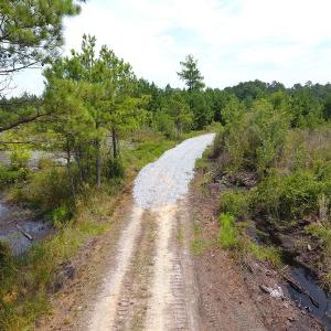 Photo #28 of Off Garland Highway, Garland, NC 278.0 acres