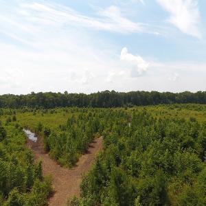 Photo #30 of Off Garland Highway, Garland, NC 278.0 acres