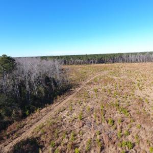 Photo #4 of Off Garland Highway, Garland, NC 278.0 acres