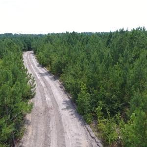 Photo #31 of Off Garland Highway, Garland, NC 278.0 acres