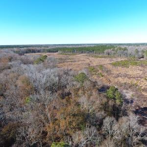 Photo #33 of Off Garland Highway, Garland, NC 278.0 acres