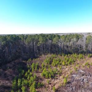 Photo #34 of Off Garland Highway, Garland, NC 278.0 acres