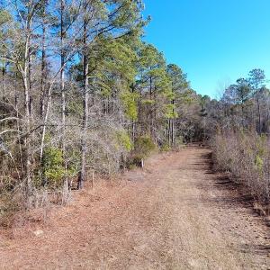 Photo #5 of Off Garland Highway, Garland, NC 278.0 acres