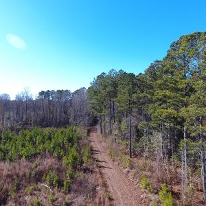 Photo #8 of Off Garland Highway, Garland, NC 278.0 acres