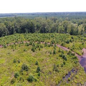Photo #9 of Off Garland Highway, Garland, NC 278.0 acres