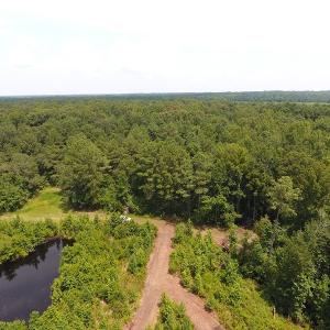 Photo #10 of Off Garland Highway, Garland, NC 278.0 acres