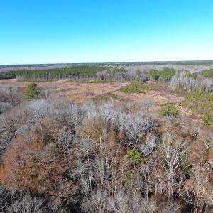 Photo #36 of Off Garland Highway, Garland, NC 278.0 acres