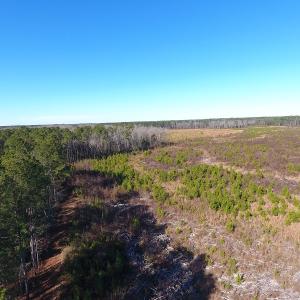Photo #37 of Off Garland Highway, Garland, NC 278.0 acres