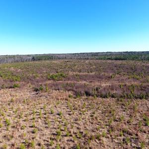 Photo #38 of Off Garland Highway, Garland, NC 278.0 acres