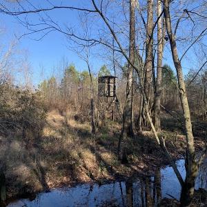 Photo #39 of Off Garland Highway, Garland, NC 278.0 acres
