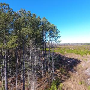 Photo #40 of Off Garland Highway, Garland, NC 278.0 acres