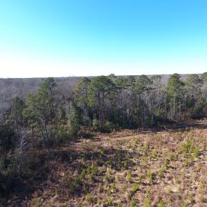 Photo #41 of Off Garland Highway, Garland, NC 278.0 acres