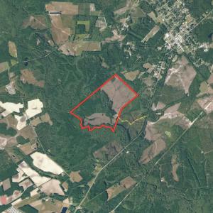 Photo #42 of Off Garland Highway, Garland, NC 278.0 acres