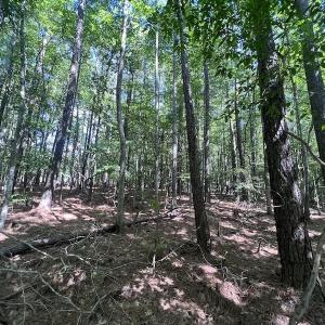 Photo #13 of SOLD property in 110 Beaver Trail, Littleton, NC 1.0 acres