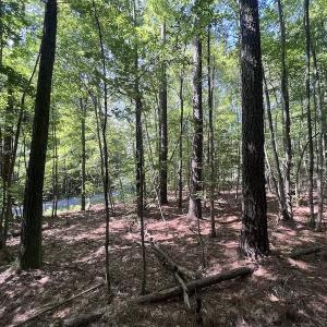 Photo #14 of SOLD property in 110 Beaver Trail, Littleton, NC 1.0 acres