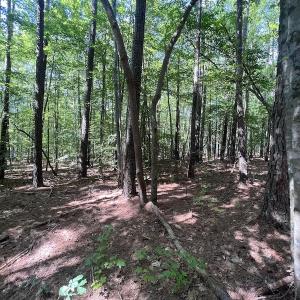Photo #15 of SOLD property in 110 Beaver Trail, Littleton, NC 1.0 acres