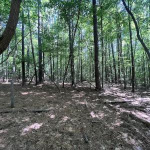 Photo #16 of SOLD property in 110 Beaver Trail, Littleton, NC 1.0 acres