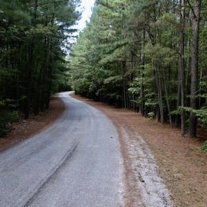Photo #3 of SOLD property in 110 Beaver Trail, Littleton, NC 1.0 acres