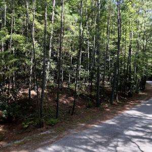 Photo #5 of SOLD property in 110 Beaver Trail, Littleton, NC 1.0 acres