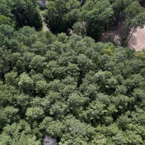 Photo #5 of 148 Boatman Ct., Macon, NC 1.0 acres